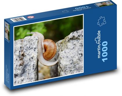 Snail - Puzzle 1000 pieces, size 60x46 cm 