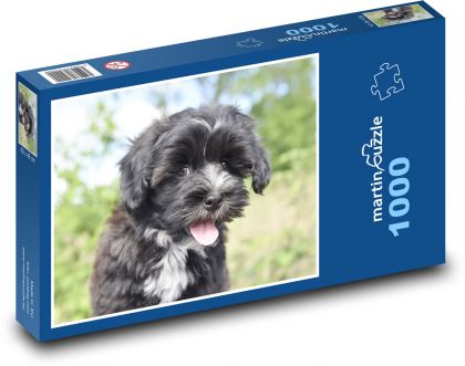 Havaneser Hund - Puzzle - 1000 Teile
