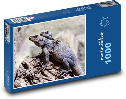 Jašterice - Puzzle 1000 dielikov, rozmer 60x46 cm