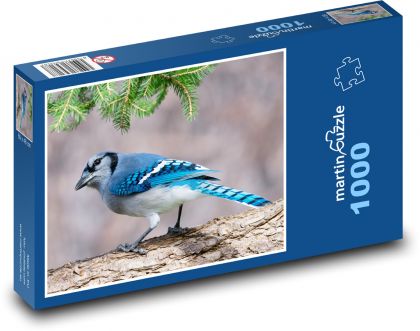 Blue jay - Puzzle 1000 pieces, size 60x46 cm 
