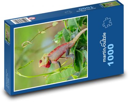 Jašterica - plaz - Puzzle 1000 dielikov, rozmer 60x46 cm
