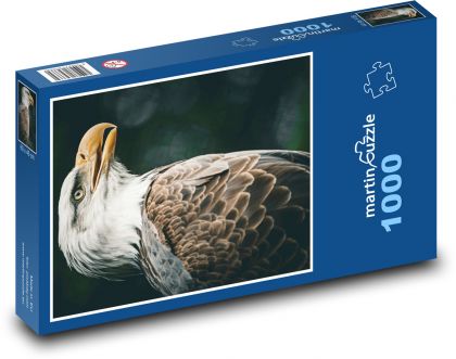Orol bielohlavý - Puzzle 1000 dielikov, rozmer 60x46 cm