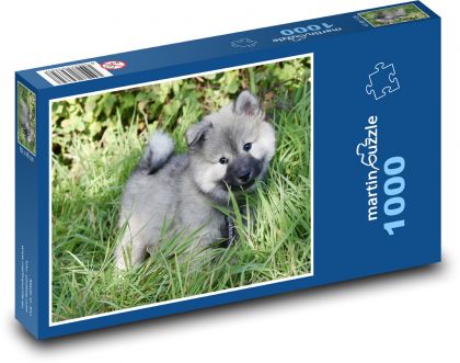 Eurasier Welpe - Puzzle - 1000 Teile