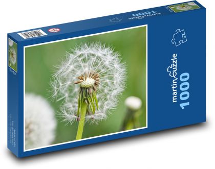 Dandelion - Flower - Puzzle 1000 pieces, size 60x46 cm 
