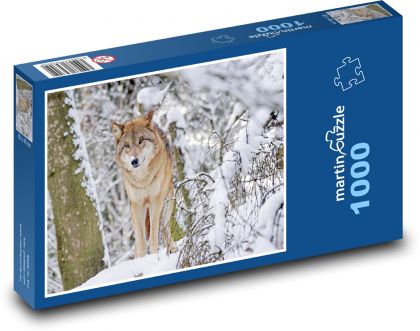 Wilk - Mongolia - Puzzle 1000 elementów, rozmiar 60x46 cm