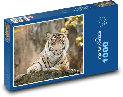 Tiger - Puzzle 1000 dielikov, rozmer 60x46 cm
