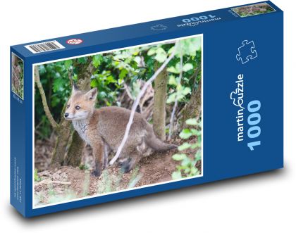 Wild fox - Puzzle 1000 pieces, size 60x46 cm 
