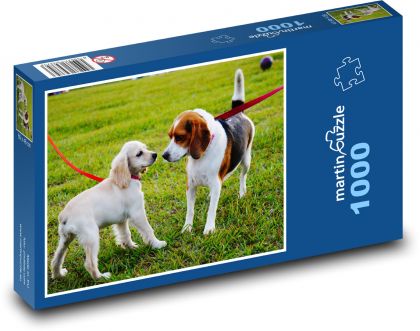 Welpen im Park - Puzzle - 1000 Teile