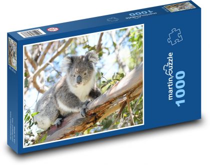 Koala-Beuteltier - Puzzle - 1000 Teile