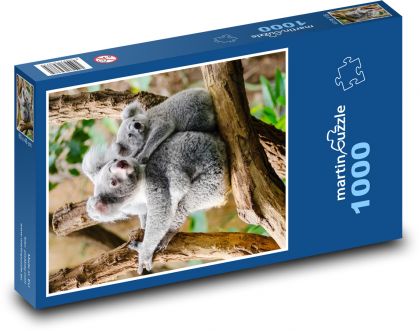 Koala on a branch - Puzzle 1000 pieces, size 60x46 cm 