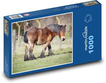 Brown horse - Puzzle 1000 pieces, size 60x46 cm 