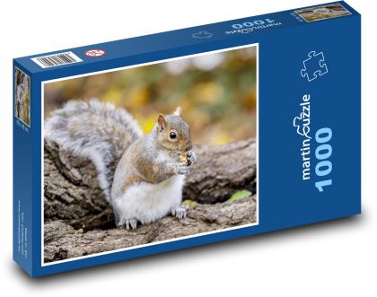 Veverka - puzzle 1000 dílků