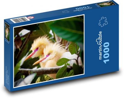 PETUL Bird - Puzzle 1000 elementów, rozmiar 60x46 cm