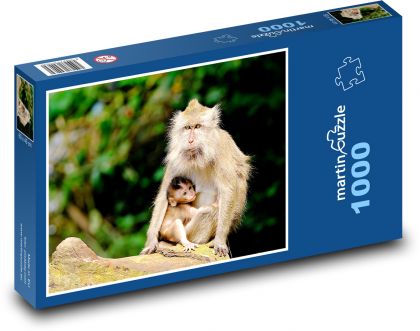 Opice - Zvieratá - Puzzle 1000 dielikov, rozmer 60x46 cm