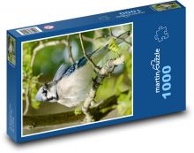 Sojka chocholatá - vták Puzzle 1000 dielikov - 60 x 46 cm 