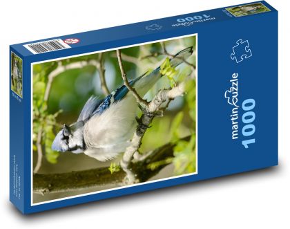 Sójka czubata - ptak - Puzzle 1000 elementów, rozmiar 60x46 cm