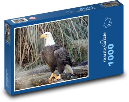 Weißkopfseeadler - Raubtier - Puzzle - 1000 Teile