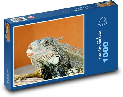 Leguán - plaz - Puzzle 1000 dielikov, rozmer 60x46 cm