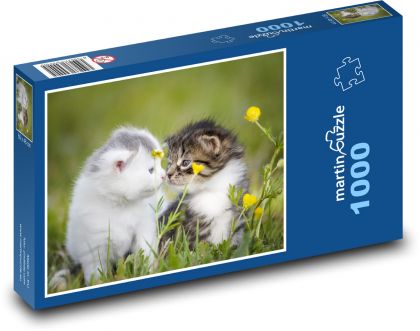 Kätzchen im Gras - Puzzle - 1000 Teile