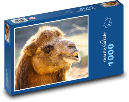 Camel - Puzzle 1000 pieces, size 60x46 cm 