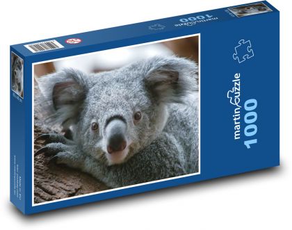 Koala - Beuteltier - Puzzle - 1000 Teile
