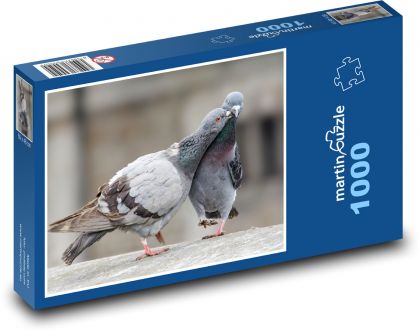 Tauben - Vögel - Puzzle - 1000 Teile