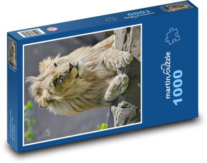 Lew z dużą grzywą - Puzzle 1000 elementów, rozmiar 60x46 cm