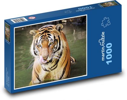 Tiger im Fluss - Puzzle - 1000 Teile