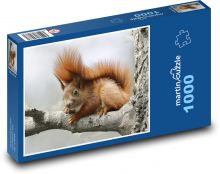 Hrdzavá veverička Puzzle 1000 dielikov - 60 x 46 cm 