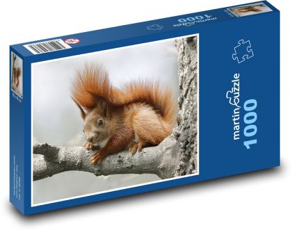 Hrdzavá veverička - Puzzle 1000 dielikov, rozmer 60x46 cm