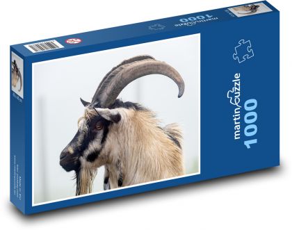 Holandská koza - Puzzle 1000 dielikov, rozmer 60x46 cm