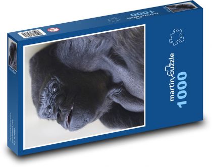 Šimpanz - opica - Puzzle 1000 dielikov, rozmer 60x46 cm