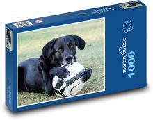 Pes s míčem - labrador Puzzle 1000 - 60x46 cm