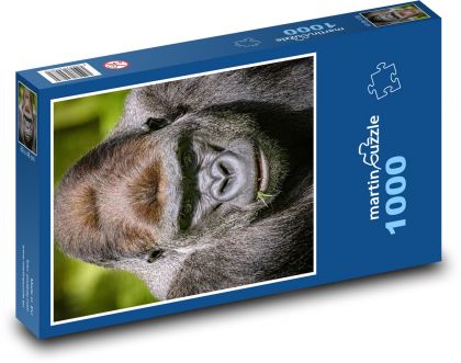 Gorilla - monkey - Puzzle 1000 pieces, size 60x46 cm 