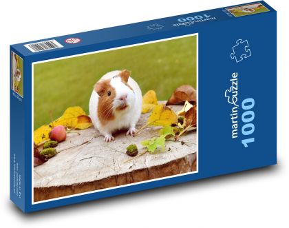 Morče - puzzle 1000 dílků