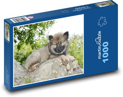 Eurázijskejšie - šteniatko - Puzzle 1000 dielikov, rozmer 60x46 cm