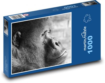 Gorila - opica - Puzzle 1000 dielikov, rozmer 60x46 cm