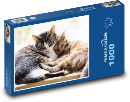Spící kočky - puzzle 1000 dílků