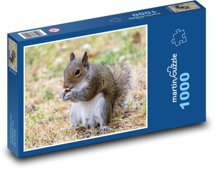 Veverička - hlodavec - Puzzle 1000 dielikov, rozmer 60x46 cm