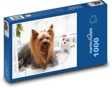 Yorkshire Terrier Puzzle 1000 pieces - 60 x 46 cm 