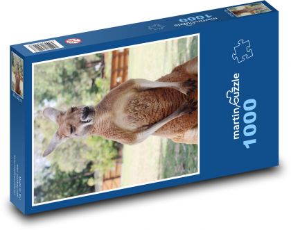 Klokan - puzzle 1000 dílků