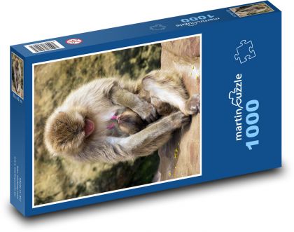 Opica - makak - Puzzle 1000 dielikov, rozmer 60x46 cm