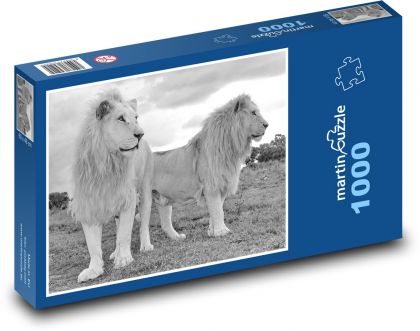 Bílí lvi - puzzle 1000 dílků
