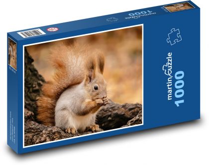 Wiewiórka - Puzzle 1000 elementów, rozmiar 60x46 cm
