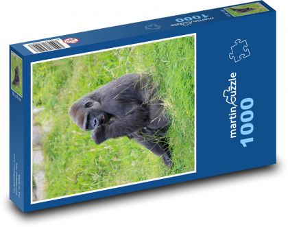 Gorilla - monkey - Puzzle 1000 pieces, size 60x46 cm 