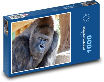 Gorila. - Puzzle 1000 dielikov, rozmer 60x46 cm