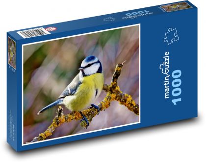 Vták - modrina na prsiach - Puzzle 1000 dielikov, rozmer 60x46 cm