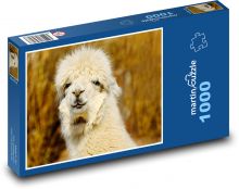 PATTERN: Puzzle 1000 pieces - 60 x 46 cm 