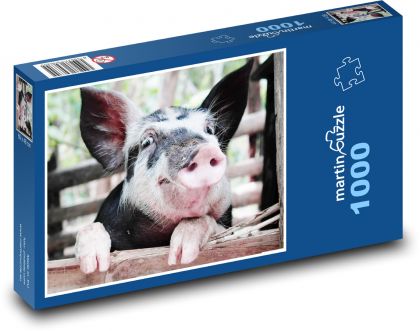 Prase - Puzzle 1000 dílků, rozměr 60x46 cm