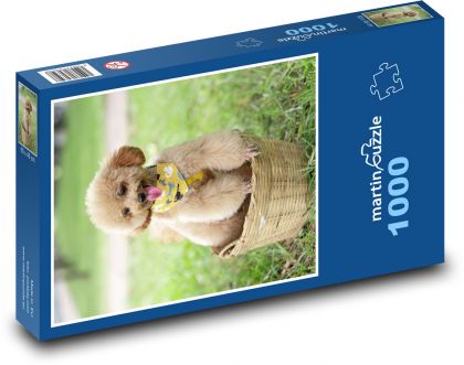 Pes - pudel - Puzzle 1000 dielikov, rozmer 60x46 cm